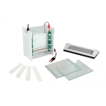 北京君意东方JY-SCZ6+型 垂直电泳槽