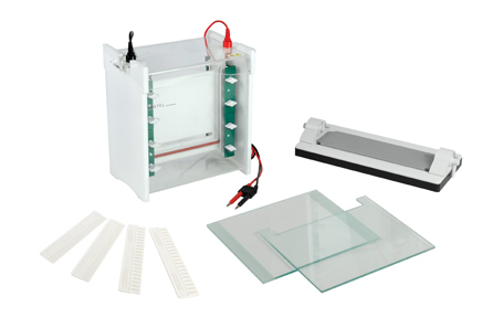 北京君意东方JY-SCZ6+型 垂直电泳槽