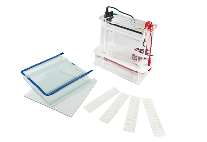 北京君意东方JY-SCZ6型 垂直电泳槽