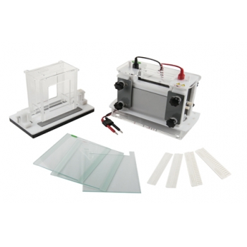 北京君意东方JY-SCZ8型 垂直电泳槽