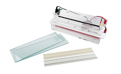 北京君意东方JY-SCZF-B型 高通量垂直电泳槽