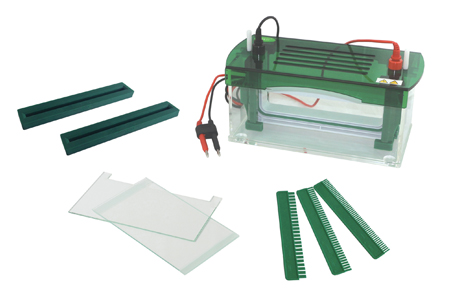 北京君意东方JY-JX5L型 垂直电泳槽