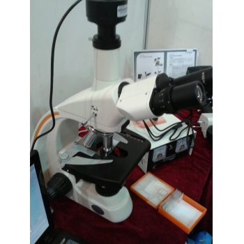 上海缔伦光学TL2800A研究级三目生物显微镜