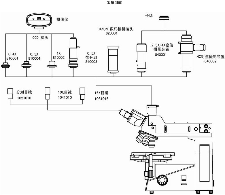 上海缔伦光学XTL-302明场正置金相显微镜 